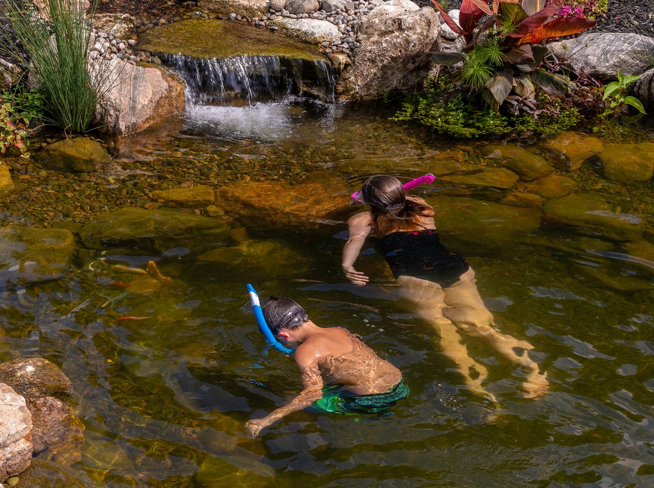 Kids snorkeling in swimming pond