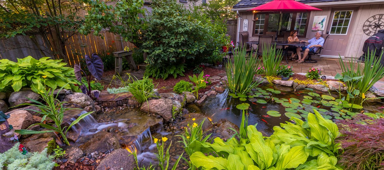 Pond with lily pands, rock waterfall, and greenery